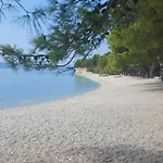 Location Живогошче